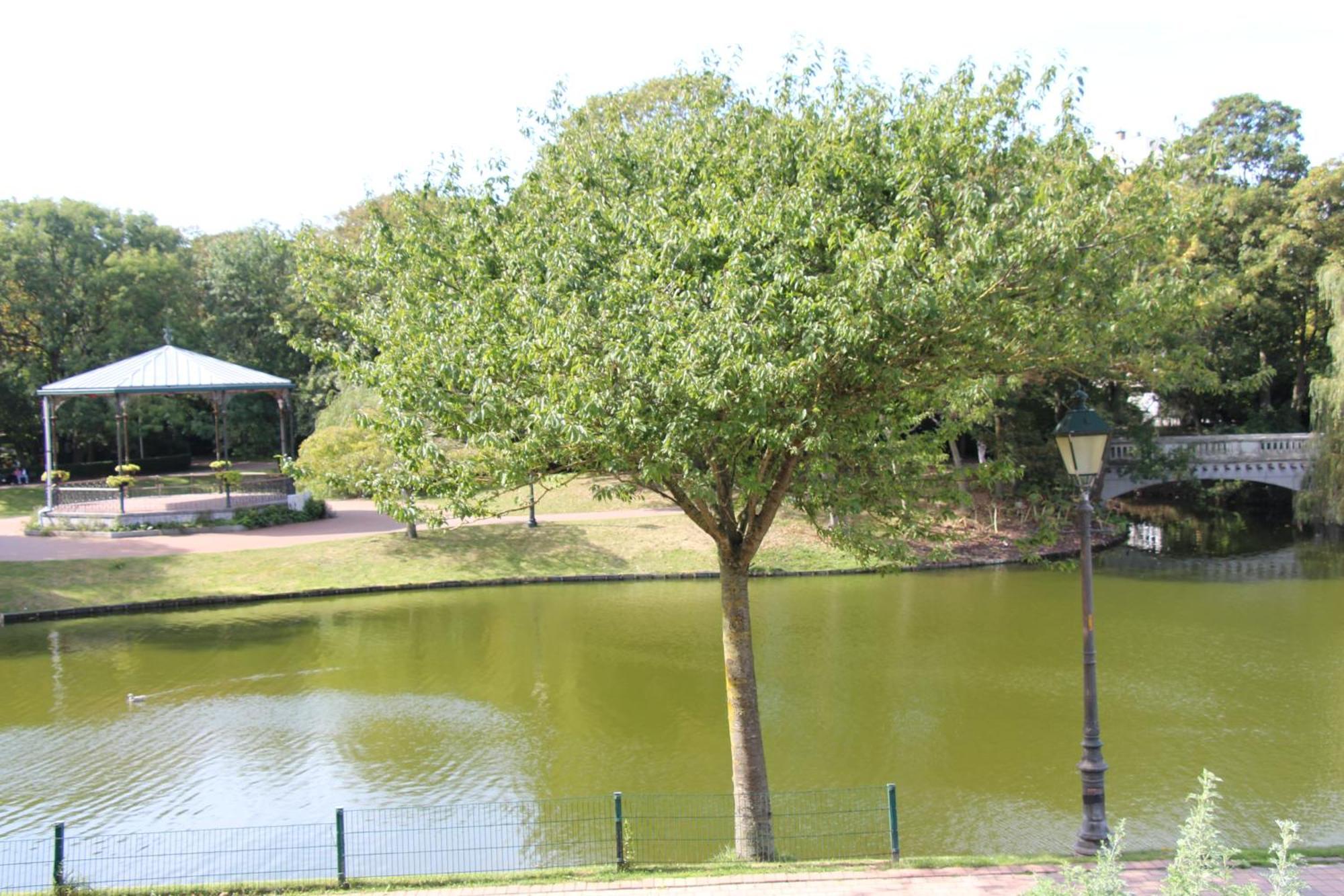 Marina Mercator ออสเทนด์ ภายนอก รูปภาพ